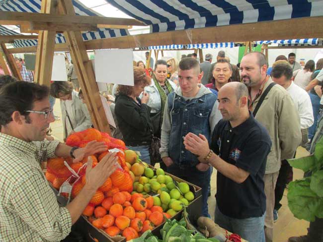 Visitantes quieren comprar naranjas ecológicas