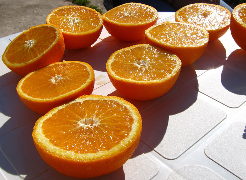 Naranjas ecológicas cadeneras y torrijas